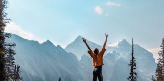 Czy nowe programy nauczania mają numery dopuszczenia?