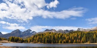 Jaki staż małżeński trzeba mieć żeby otrzymać 500 Plus?