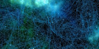 W której części mózgu znajduje się świadomość?