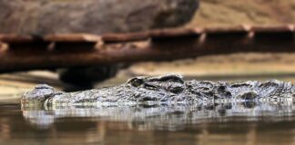 Jaką zasadą związana z zasobami stała się podstawą do rozwoju ekonomii?